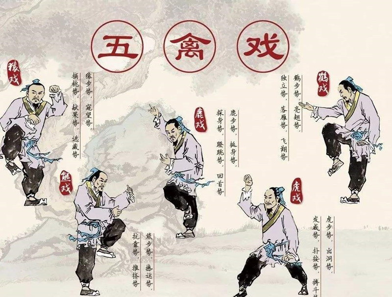 華佗，外科鼻祖，發(fā)明麻沸散、五禽戲