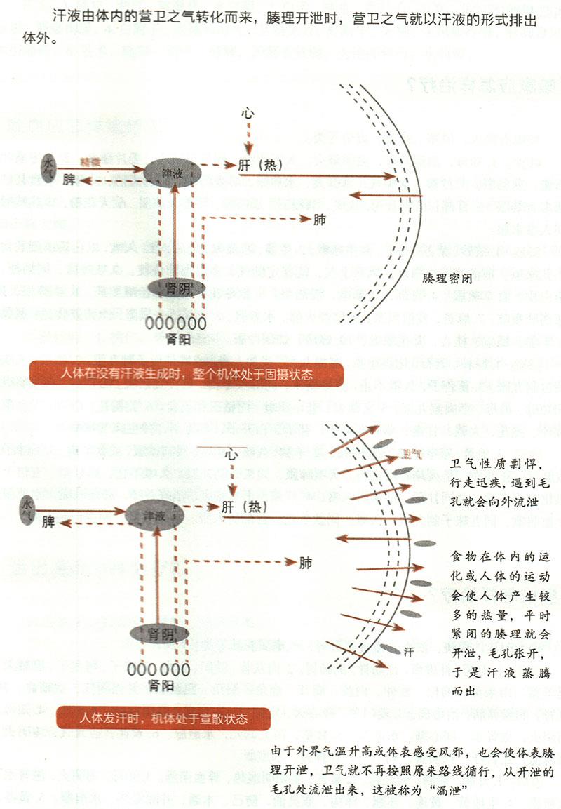 諸汗應(yīng)怎樣治療？