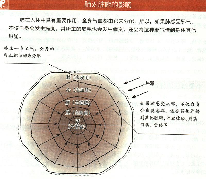 陰痿應(yīng)怎樣治療？