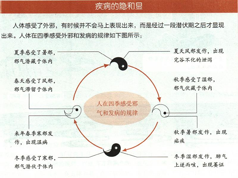 為什么要順應四時陰陽來養(yǎng)生？