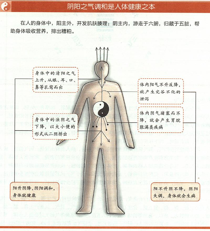 人為什么一定要陰陽調(diào)和才健康？