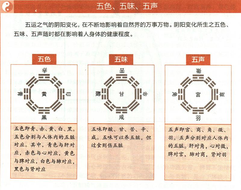 臟腑功能如何在體表上顯現(xiàn)？