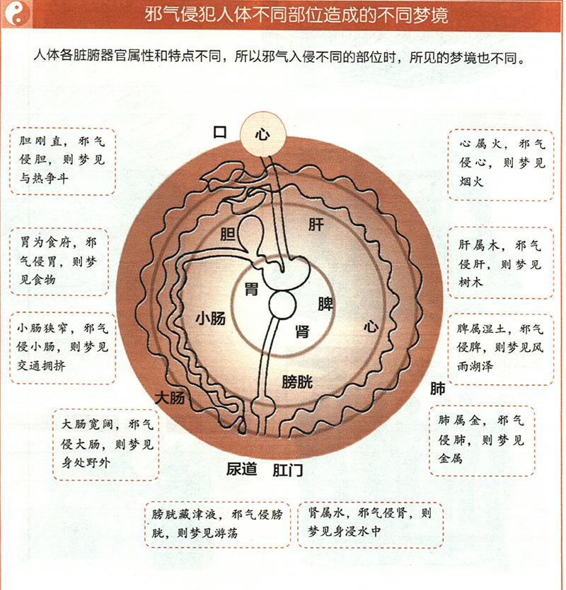 如何從夢境推算健康？