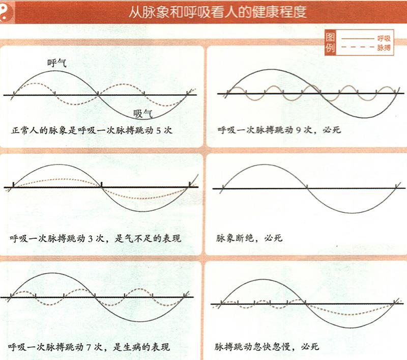 如何從脈象和呼吸推算健康？