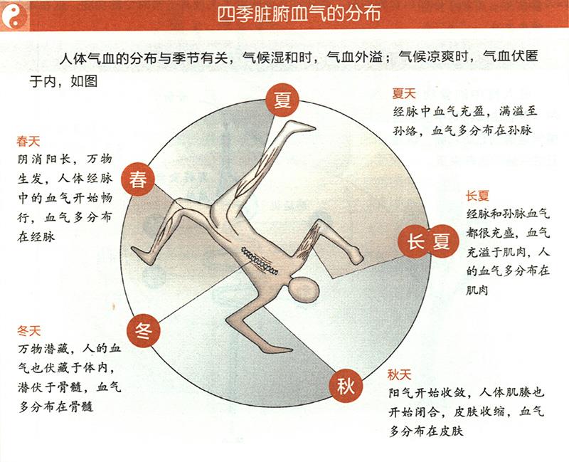 四季臟腑血氣是怎樣分布的？