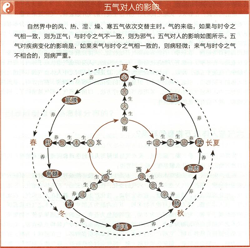 六氣與人體及萬物有何聯(lián)系？