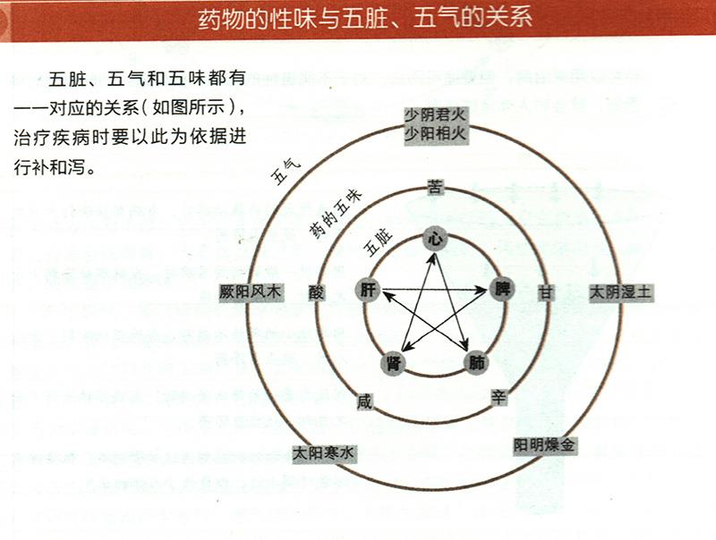 藥物的性味與五臟、五氣有什么關(guān)系？