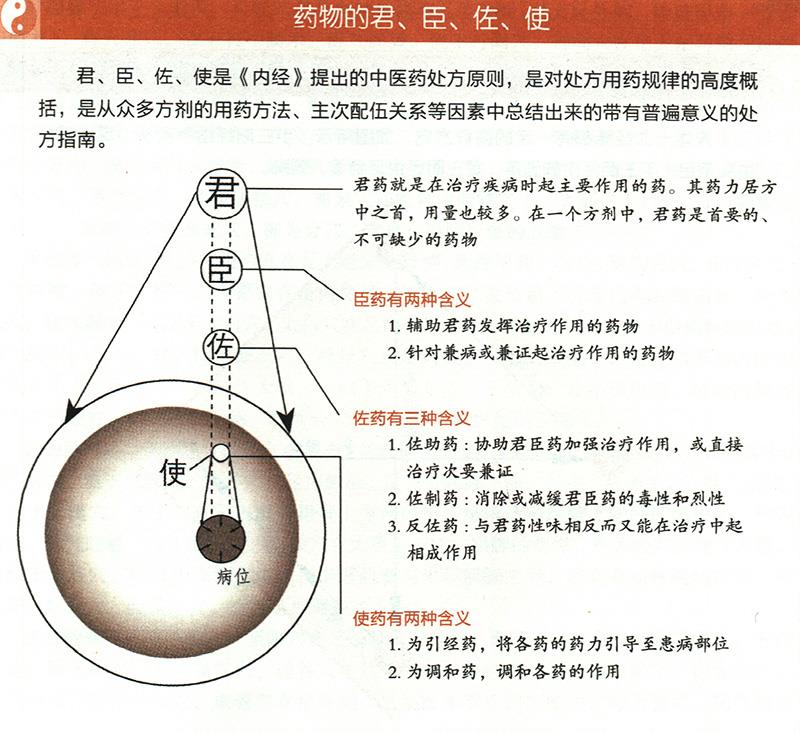 什么是藥物的君臣佐使？