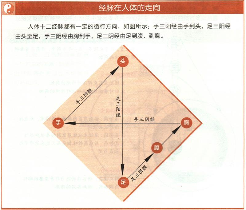 十二經(jīng)脈的起止點(diǎn)分別在哪里？