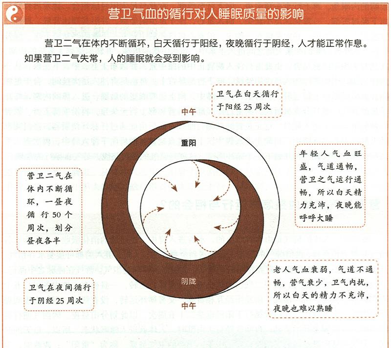 營衛(wèi)二氣在體內(nèi)是怎樣運(yùn)行與相會的？