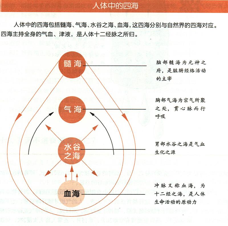 人體中的四海是怎樣的？