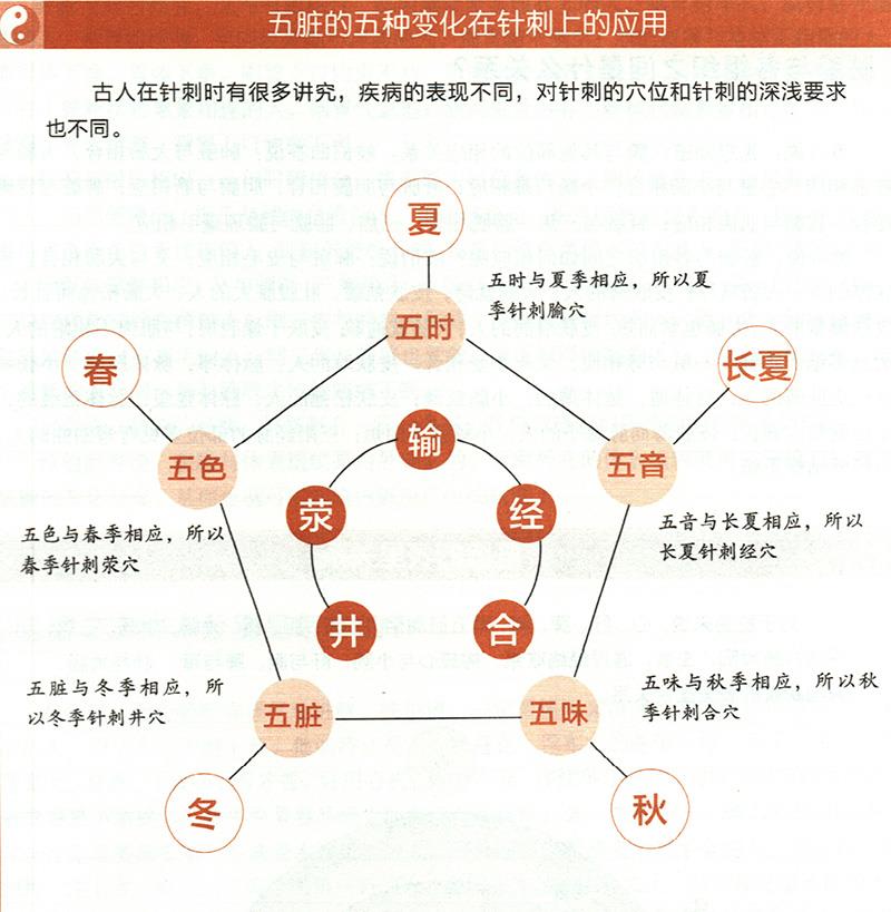 五臟的五種變化對應的不同針刺法有哪些？