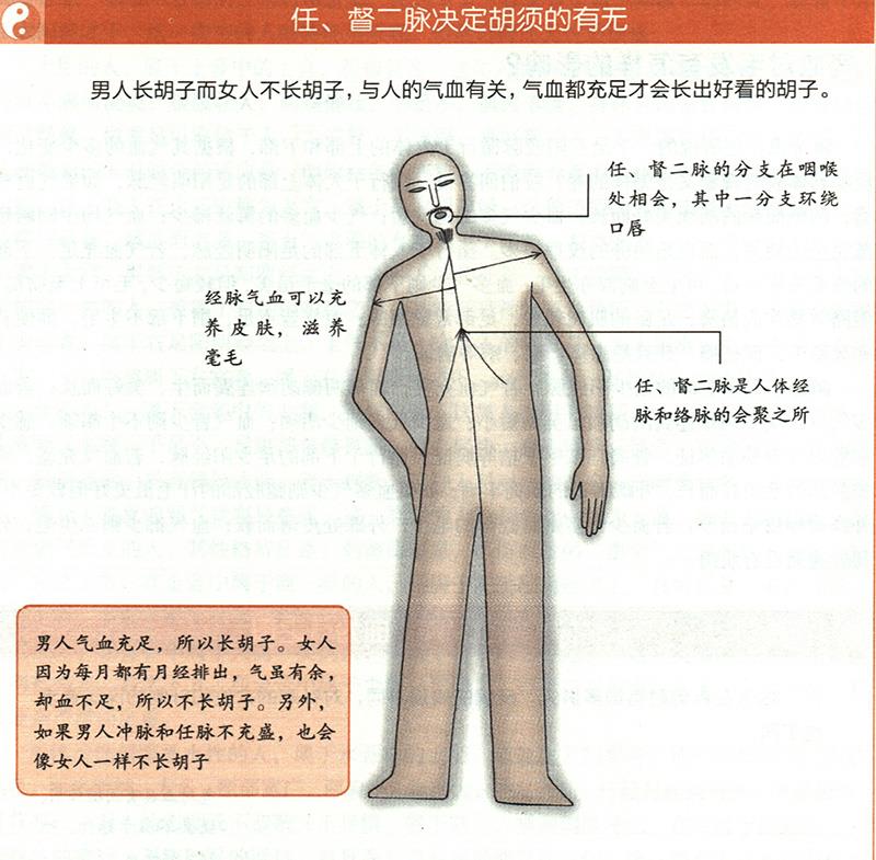 氣血對毛發(fā)有怎樣的影響？