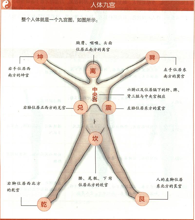 人體各部與九野是怎樣對應的？