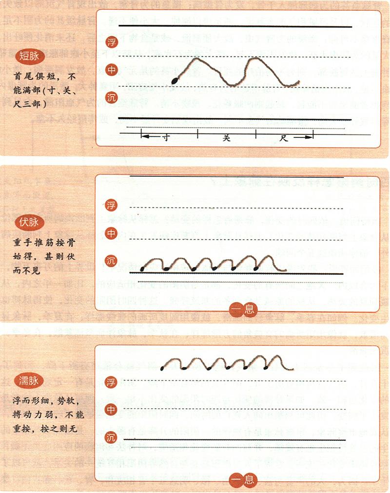 緩、急、小、大、滑、澀六種脈象所對應的病狀情形是怎樣的？