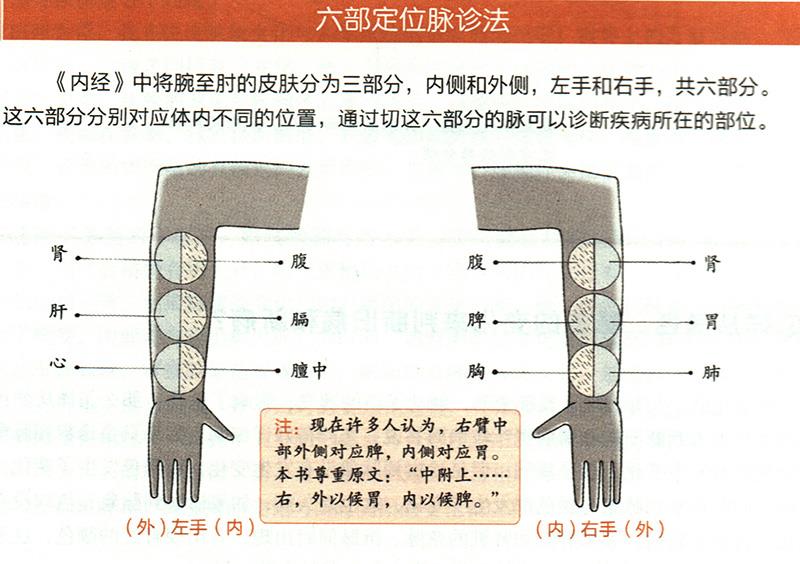 如何在尺膚上診斷疾??？