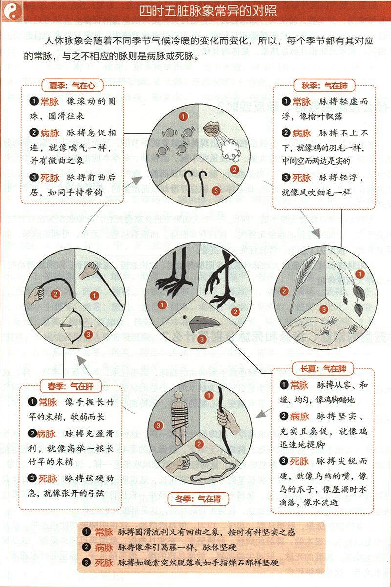 五臟的常脈、病脈和死脈分別是什么？