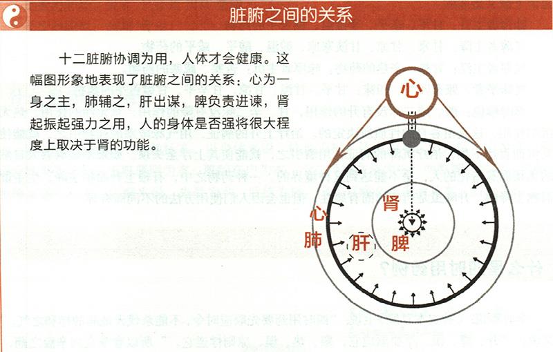 什么是五臟五味補瀉？