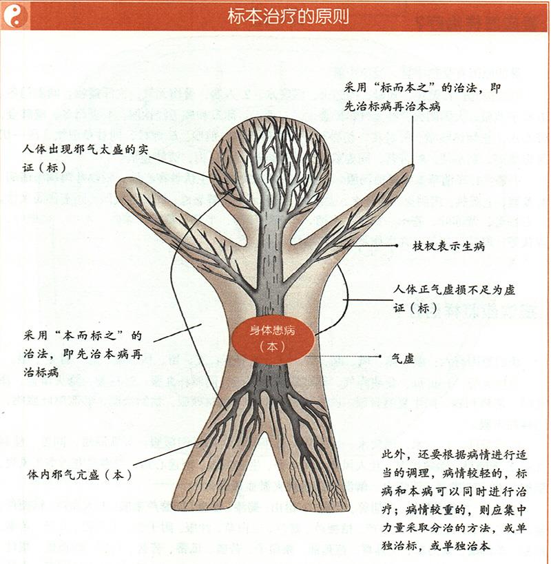 什么是標本陰陽？