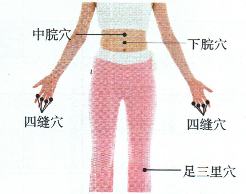 按摩足三里穴、四縫穴、中脘穴，促進吸收增點肉