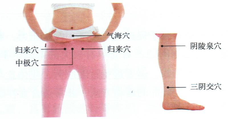 按摩歸來穴、中極穴等，健脾調(diào)經(jīng)更助孕