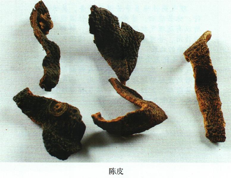 刺檗果實(shí)